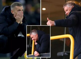 Tipper Ole Gunnar Solskjaer is the “next manager” despite watching the Premier League game for a completely different reason