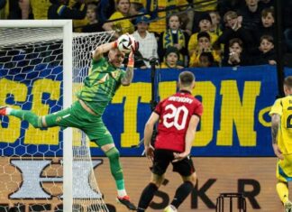 Wants to bring home Aston Villa goalkeeper Robin Olsen