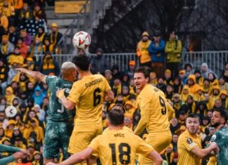 What a fantastic journey by Bodø/Glimt!