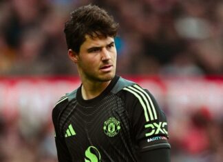 Schmeichel grins, Ferguson brags uninhibitedly – Manchester United have hit the mark with Lammens