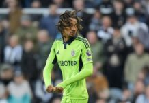 Has been a substitute for Harry Kane, but faces a full stop in the Premier League