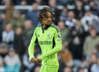 Has been a substitute for Harry Kane, but faces a full stop in the Premier League