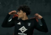 Danish media reports Viking is getting ready for “a coup” in Denmark