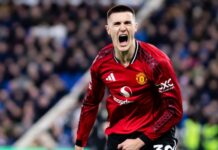 Carrick (and Berbatov) have saved Sesko from the “Højlund trap”