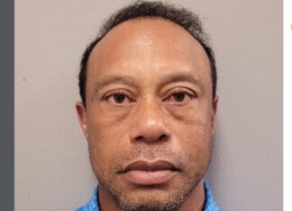 Tiger Woods is a fantastic golfer, but a lousy driver