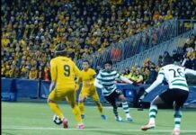 Carlo Anclotti has no doubt: Bodø/Glimt are the best in Europe!