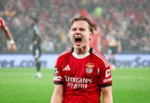 Andreas Schelderup has convinced Barcelona!