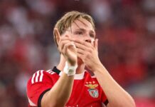 Jose Mourinho will bring his Norwegian favourite Andreas Schjelderup with him if he is bought free from Benfica