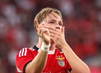 Jose Mourinho will bring his Norwegian favourite Andreas Schjelderup with him if he is bought free from Benfica