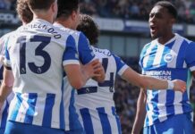 Brighton were tired of being “nice guys” – brought in MMA athlete