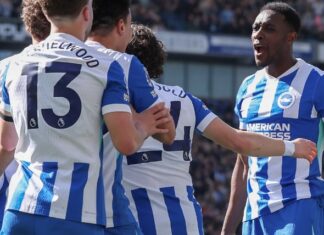 Brighton were tired of being “nice guys” – brought in MMA athlete
