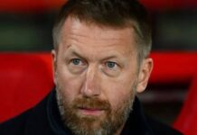 Graham Potter: Sweden will ‘learn a lot’ after the Netherlands crush