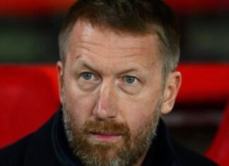 Graham Potter: Sweden will ‘learn a lot’ after the Netherlands crush