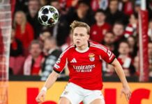 Tottenham probably liked what they saw of Andreas Schelderup in the World Cup