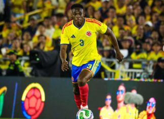 Manchester United are chasing Serie A star