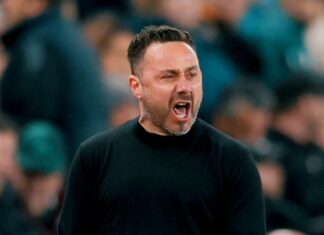 Wow! The Tottenham manager promises the supporters another spectacular signing