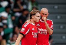 Tottenham bid €55 million for Andreas Schjelderup