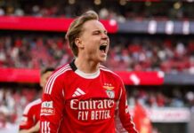 Expects huge bid for Andreas Schjelderup within 24 hours after Cody Gakpo’s exit from Liverpool
