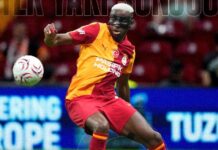 Super striker Osimhen will finally shine in the Premier League
